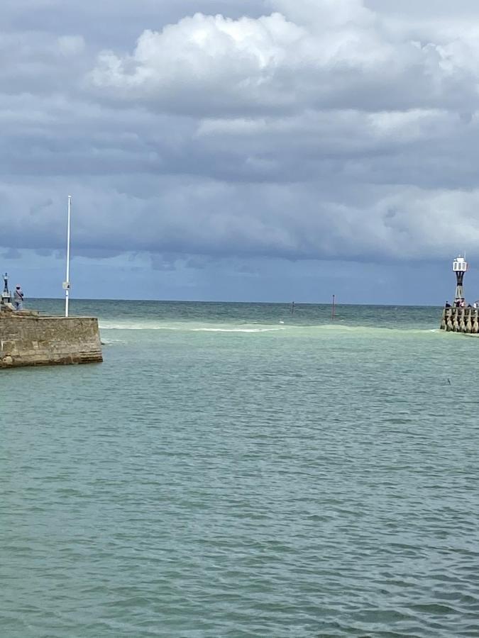 Super Appartement Cosy, Parking Prive Courseulles-sur-Mer Bagian luar foto